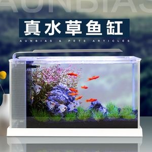 小魚未來智能魚缸怎么樣：小魚未來智能魚缸