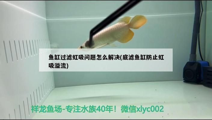 魚缸虹吸現(xiàn)象怎么處理：處理魚缸虹吸現(xiàn)象的方法