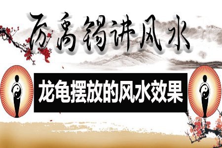 深圳海之星水族有限公司（深圳海之星水族有限公司怎么樣）
