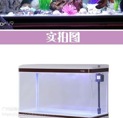創海魚缸怎么樣：創海魚缸用戶滿意度調查,創海魚缸價格區間對比