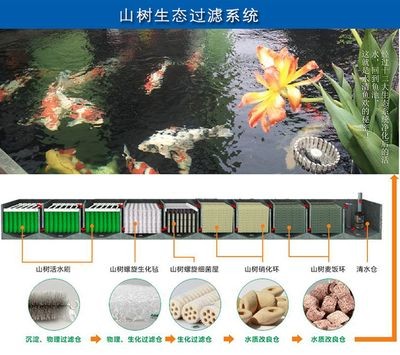饒平縣金利佳機電有限公司森森集團股份有限公司品牌：森森集團水族器材