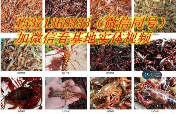 菏澤<strong><mark>定陶</mark></strong>魚(yú)缸<strong><mark>定陶</mark></strong>魚(yú)缸定做魚(yú)缸定做價(jià)格是多少錢：<strong><mark>定陶</mark></strong>區(qū)魚(yú)缸<strong><mark>定陶</mark></strong>魚(yú)缸定做魚(yú)缸定做價(jià)格是多少錢