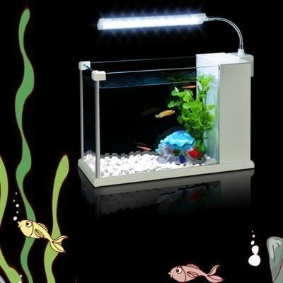 魚缸日夜照明時間表設置:魚缸日夜照明時間表 魚缸百科 第2張 魚缸日夜照明時間表設置:魚缸日夜照明時間表 魚缸日夜照明時間表設置:魚缸日夜照明時間表 魚缸百科 第2張