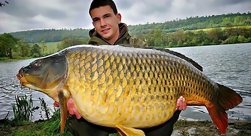 鱷雀鱔能吃多大的魚