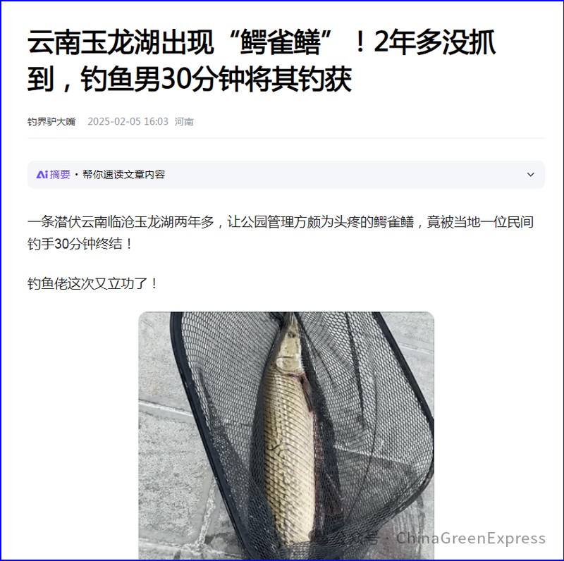 鱷雀鱔能吃多大的魚