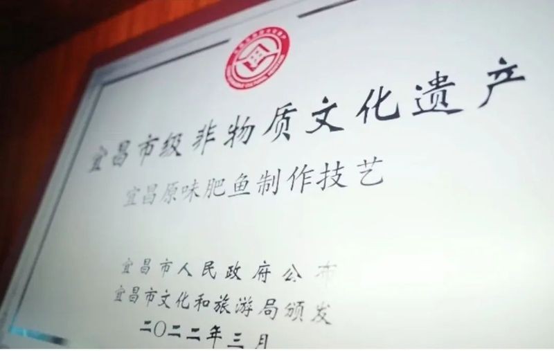 四川話肥頭是什么魚