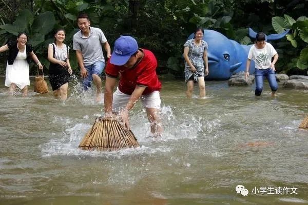 四川話肥頭是什么魚