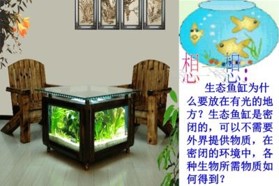 魚缸藝術(shù)的演變：關(guān)于魚缸的一些優(yōu)美句子