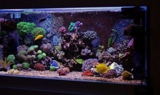 畫法幾何魚缸水泵怎么拆？：畫法幾何魚缸水泵的拆卸步驟