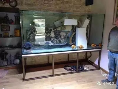 海寧水族箱養護秘籍：水族箱養護秘籍 海寧水族箱養護秘籍：水族箱養護秘籍 魚缸百科 第3張
