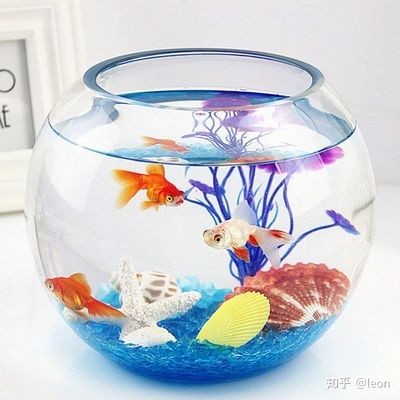 方形魚缸和圓形魚缸哪個好養（圓形魚缸形狀與養護技巧選擇魚缸材質與養護技巧）