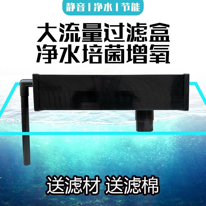 魚缸過濾器靜音效果評測：魚缸過濾器噪音來源解析