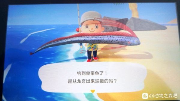 動森高價收購物品表