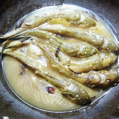 狗魚最佳吃法 龍魚論壇 第4張 狗魚最佳吃法 狗魚最佳吃法 龍魚論壇 第4張