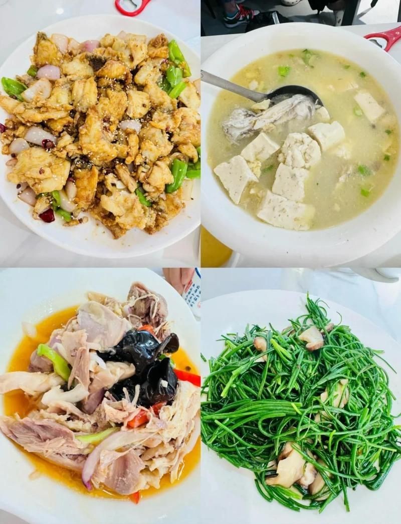 狗魚最佳吃法 龍魚論壇 第14張 狗魚最佳吃法 狗魚最佳吃法 龍魚論壇 第14張