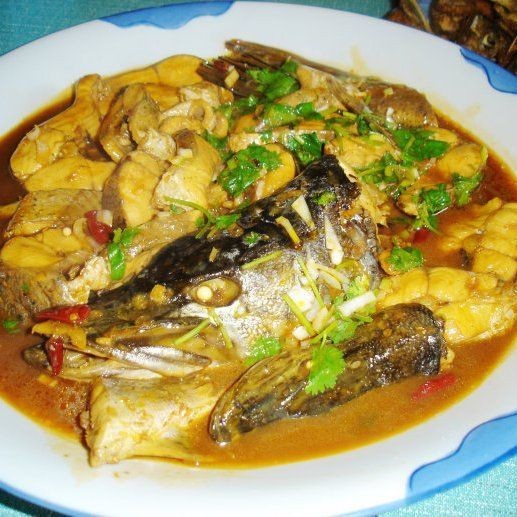 狗魚最佳吃法 龍魚論壇 第20張 狗魚最佳吃法 狗魚最佳吃法 龍魚論壇 第20張