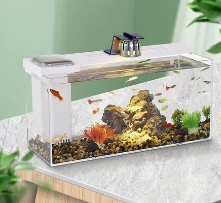高大上的魚缸：家庭魚缸選購指南