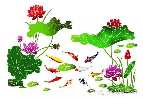 魚缸魚養幾條最好，如何判斷魚的性格適合混養魚缸過濾系統的選擇指南