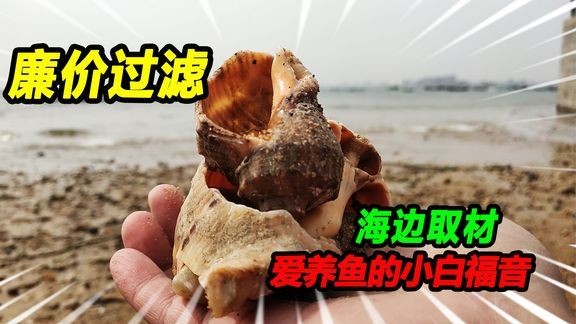 自制魚缸過濾材料的diy教程對魚缸過濾材料的diy教程：紅磚與魚缸過濾材料的對比 自制魚缸過濾材料的diy教程對魚缸過濾材料的diy教程：紅磚與魚缸過濾材料的對比 魚缸百科 第2張