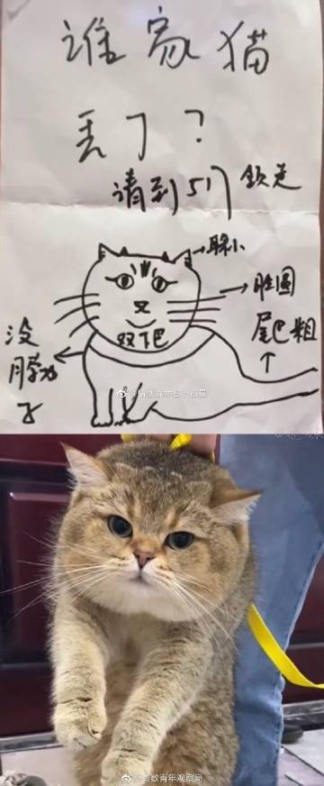 老人說貓不請自來兆頭
