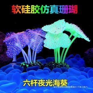 魚(yú)缸珊瑚造景要多少錢(qián)：不同種類(lèi)和價(jià)格的魚(yú)缸珊瑚造景供你參考