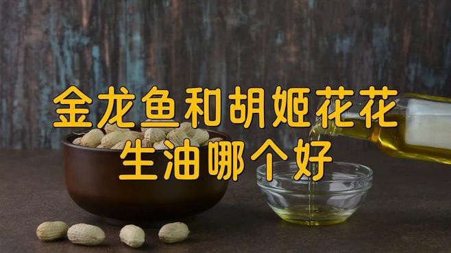 胡姬花還是金龍魚的好 胡姬花還是金龍魚的好 龍魚論壇 第7張