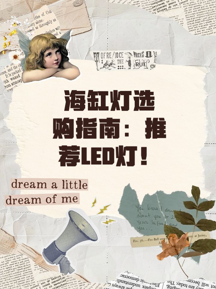 燈LED魚缸是雜牌子嗎