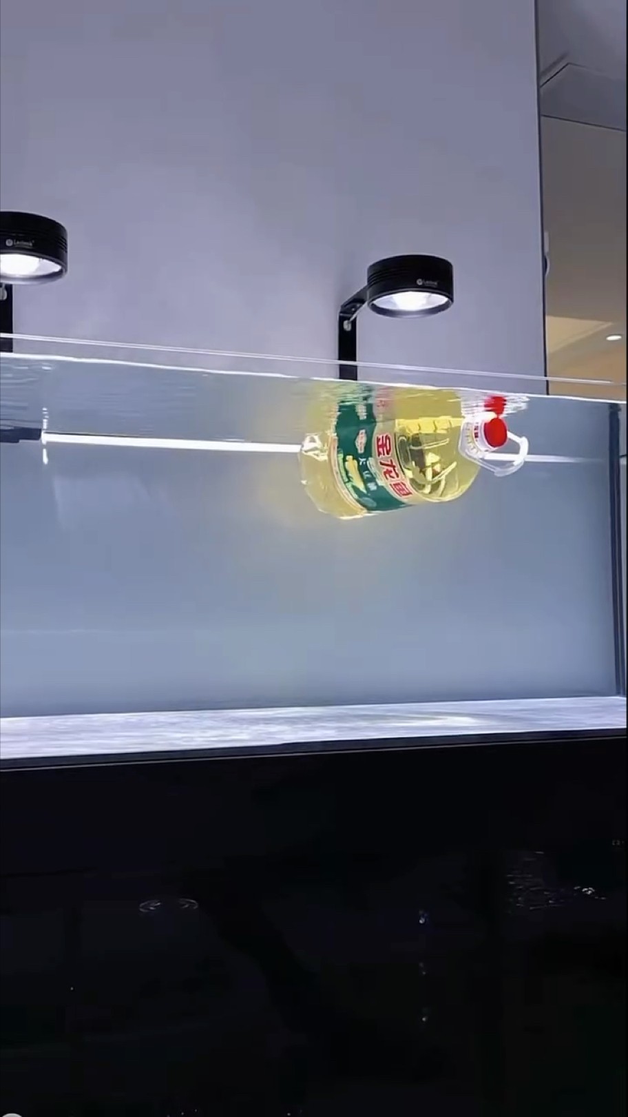 這條金龍魚是怎么了？