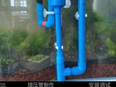 魚缸水不干凈,要怎么過濾呀？（魚缸水不干凈怎么辦）
