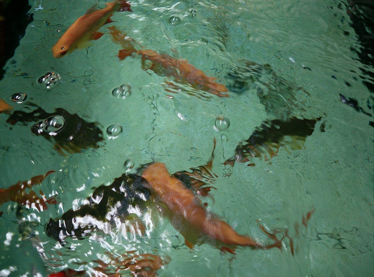 夜間魚跳缸的預兆 夜間魚跳缸的預兆 龍魚論壇 第6張