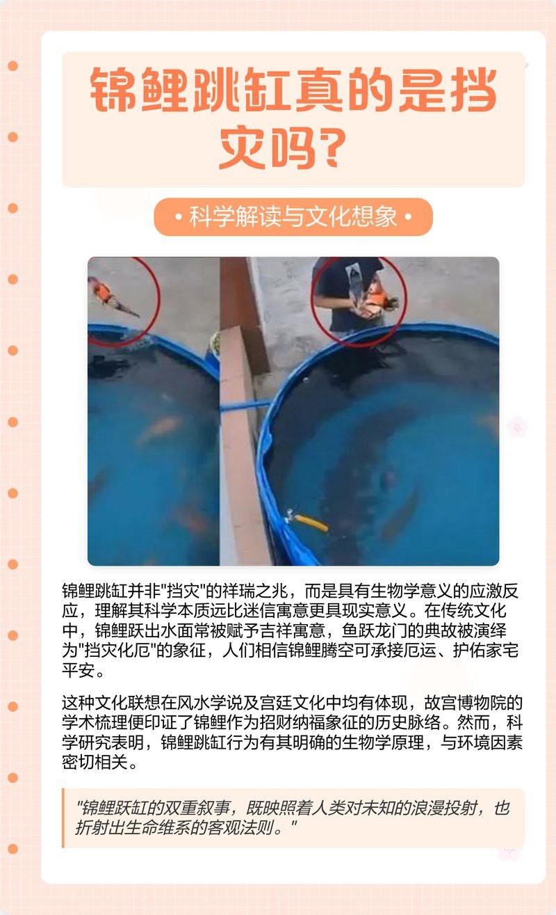 夜間魚跳缸的預兆 夜間魚跳缸的預兆 龍魚論壇 第3張