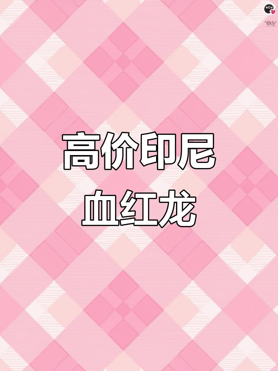 紅龍魚怎么那么貴