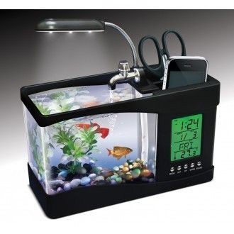創(chuàng)佳魚缸：創(chuàng)佳魚缸布置技巧分享，