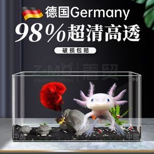 六角恐龍魚(yú)專(zhuān)用魚(yú)缸：專(zhuān)為六角恐龍魚(yú)設(shè)計(jì)的魚(yú)缸