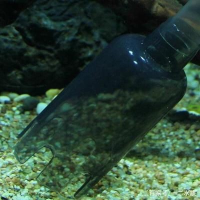 魚缸放水技巧大揭秘魚缸放水技巧大揭秘想要快速而有效地放水：定制魚缸放水技巧大揭秘 魚缸放水技巧大揭秘魚缸放水技巧大揭秘想要快速而有效地放水：定制魚缸放水技巧大揭秘 魚缸百科 第4張