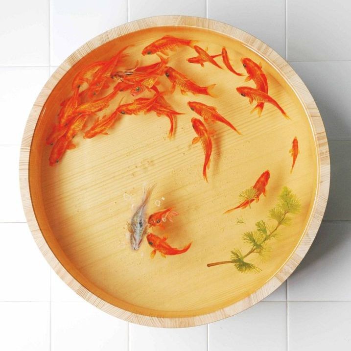 金龍魚樹脂工藝品
