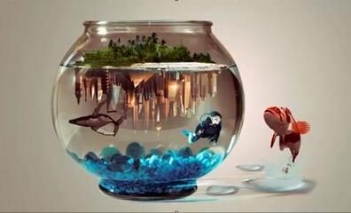 公司購買魚缸入什么科目（公司購買魚缸會計處理）