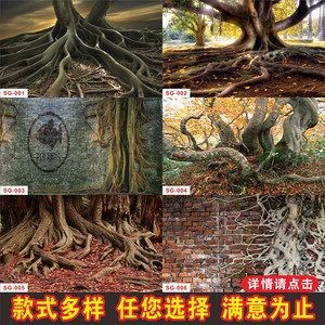 龍魚缸布景：龍魚缸布景設計