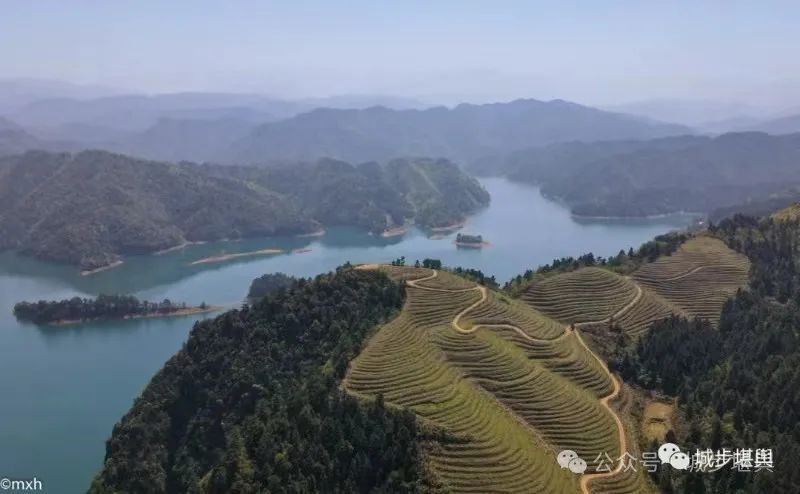 風(fēng)水來龍釋義