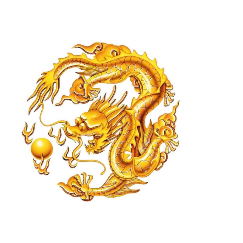 真正的金龍圖片 真正的金龍圖片 龍魚論壇 第28張