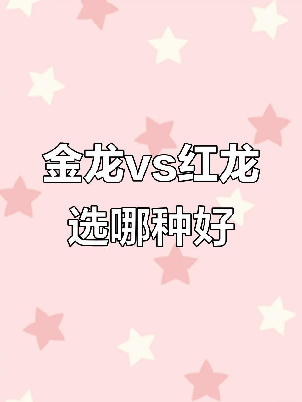 紅龍和金龍哪種好養