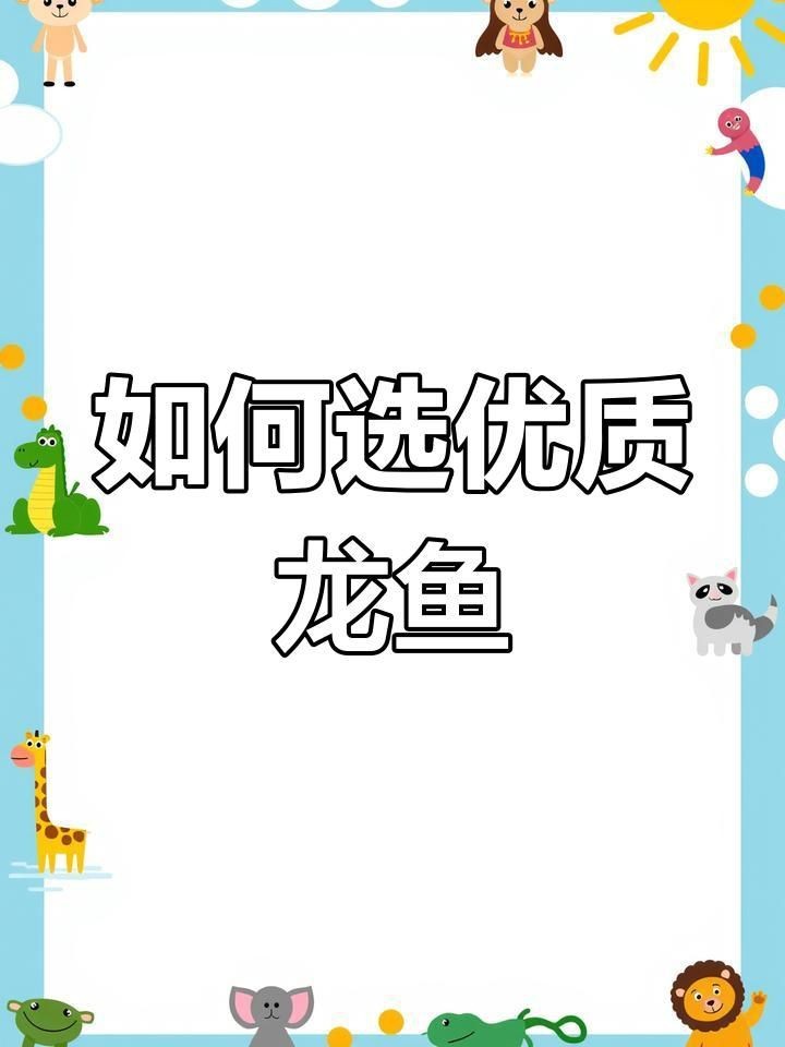 紅龍和金龍哪種好養