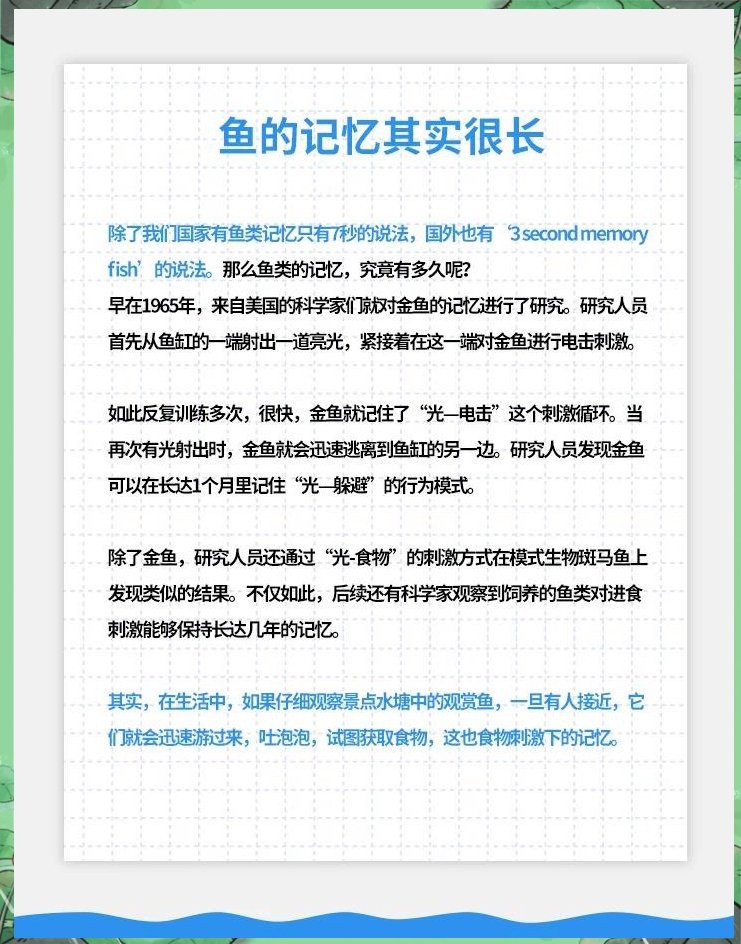 金龍魚記憶能力有多強？ 金龍魚記憶能力有多強？ 龍魚論壇 第9張