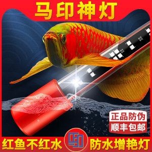 龍魚用什么燈管最好看：如何選擇一個適合龍魚的燈管？