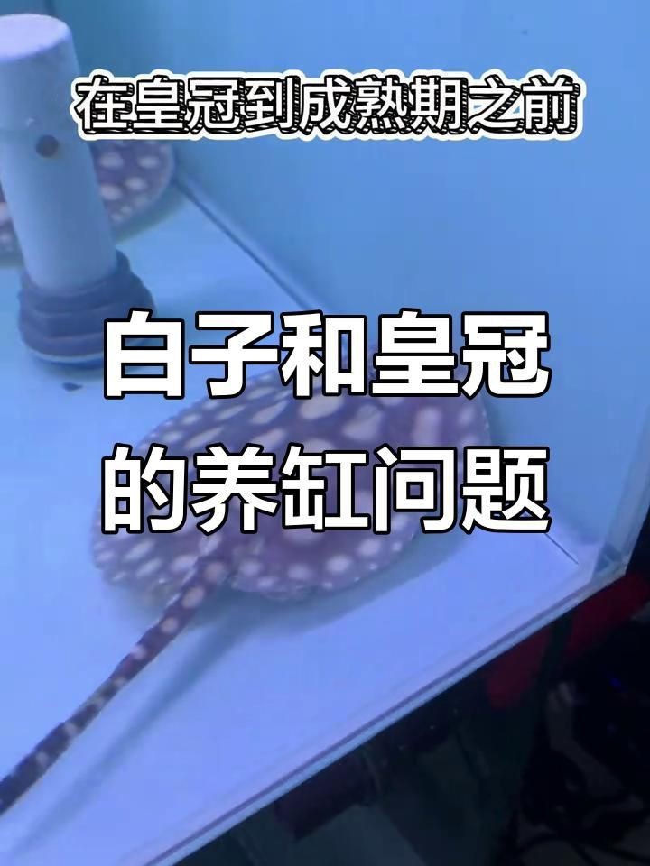 小魚缸換大魚缸的步驟：小魚缸換大魚缸步驟詳情