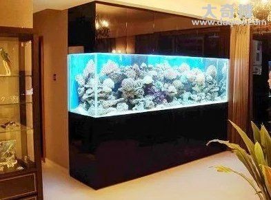 關(guān)于魚缸風(fēng)水的知識：五行學(xué)說與風(fēng)水布局五行學(xué)說與風(fēng)水布局五行學(xué)說 關(guān)于魚缸風(fēng)水的知識：五行學(xué)說與風(fēng)水布局五行學(xué)說與風(fēng)水布局五行學(xué)說 魚缸百科 第4張