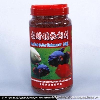 廣州哪里有金龍魚批發(fā)市場啊價格多少：廣州市內(nèi)多個金龍魚批發(fā)市場