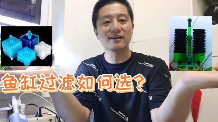 如何判斷魚缸過濾效果：如何判斷和評估魚缸過濾系統的效果