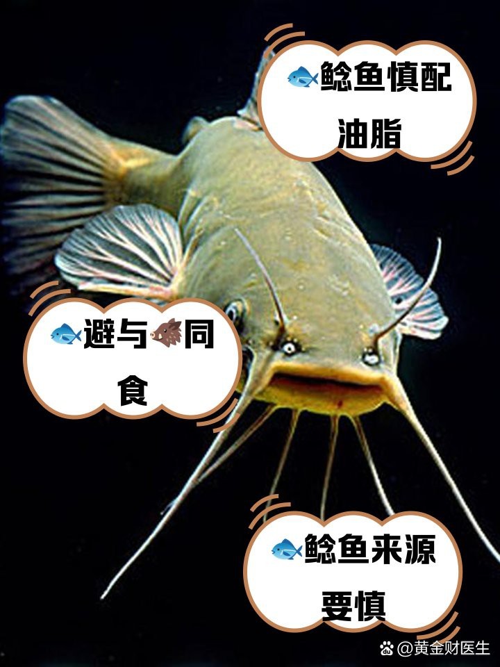 鯰魚相克食物有哪些
