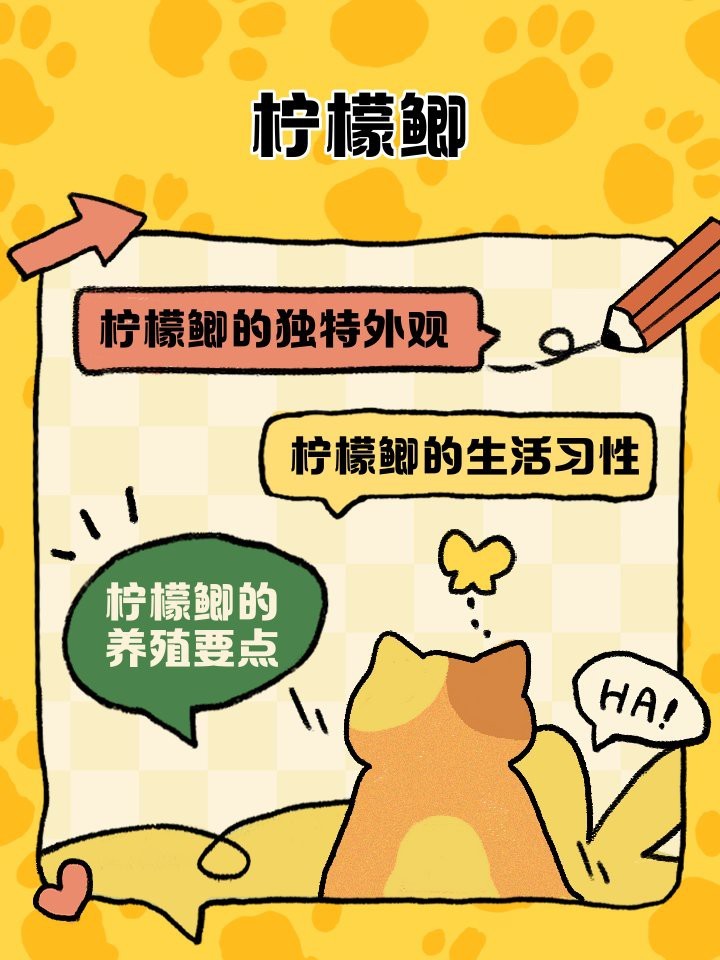 檸檬鯽能長多大